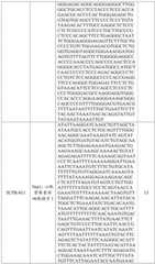 Figure BDA0002572923940000661