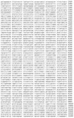 Figure IDA00002091897100241