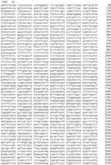 Figure IDA0002536600790000081