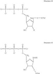 Figure US06686150-20040203-C00035