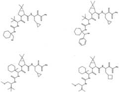 Figure imgf000241_0001