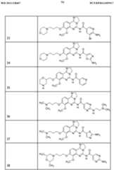 Figure imgf000095_0001
