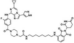 Figure BDA0002964098100001312