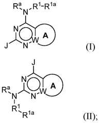 Figure imgf000002_0001