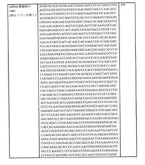 Figure 0007438604000052