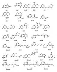 Figure BPA00001280125600201