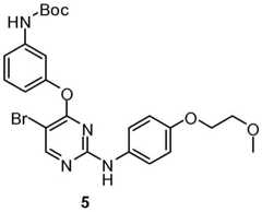 Figure BDA0001453135130002652