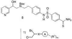 Figure imgf000021_0001
