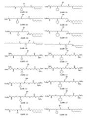 Figure 111101514-A0305-13-0011-304