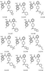 Figure FDA0002307903110000311