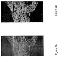 Figure imgf000157_0001