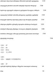 Figure IDA0001057487920000931