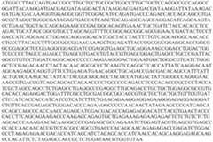 Figure PCTCN2022073808-appb-000137