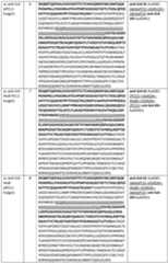 Figure imgf000055_0001