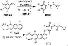 Figure FDA0003795483310000062