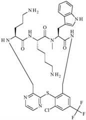 Figure BDA0001640213710004301