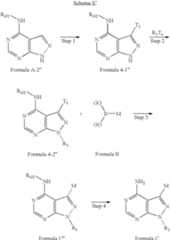 Figure US08476431-20130702-C00107