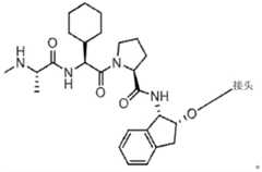 Figure BDA0003027048450000526