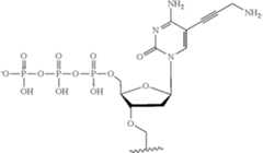 Figure US12215122-20250204-C00483