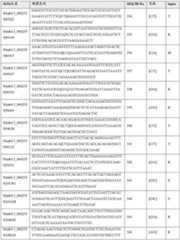 Figure DEST_PATH_IMAGE038