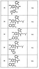 Figure GPA00001115382500761