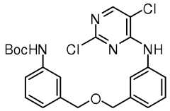 Figure imgf000618_0003