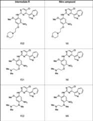 Figure AU2015277786B2_D0360