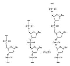 Figure 2023012548000012