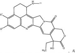 Figure FDA0003674984860000391