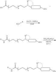 Figure US11364300-20220621-C01098