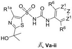 Figure BDA0002935257550002832