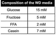 Figure imgf000043_0001