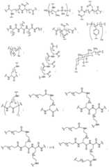 Figure BDA0003357312860004541