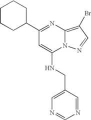 Figure US07119200-20061010-C00120