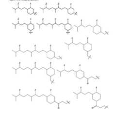 Figure imgf000167_0002