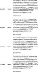 Figure BPA00001481527000461