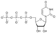 Figure imgf000164_0003