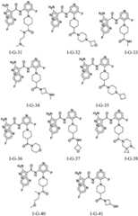 Figure FDA0002307903110000261