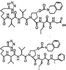 Figure G2009101493490D01303