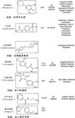 Figure A20068004619500611