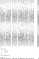 Figure IDA0002536600790000491