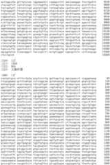 Figure IDA0002536600790001011