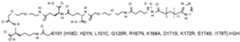 Figure imgf000021_0002
