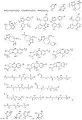 Figure imgf000408_0001