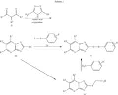 Figure US09163027-20151020-C00011