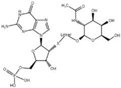 Figure imgf000058_0001