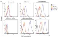 Figure 112019025224290-pat00008