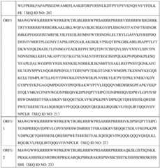 Figure BDA0004078918960000901