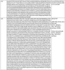 Figure BDA0004183790070000901