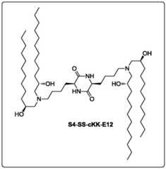 Figure BDA0002449862320000861